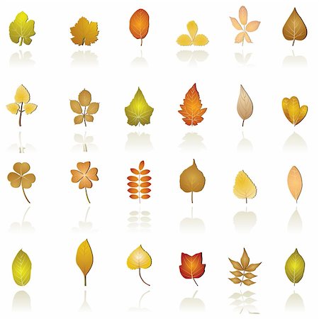autumn leaf background and icons - vector icon set Stock Photo - Budget Royalty-Free & Subscription, Code: 400-04292678