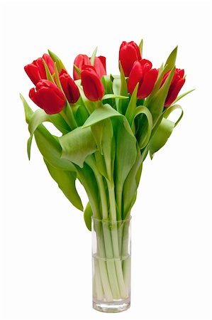 simsearch:400-05104344,k - beautiful red tulips in vase Foto de stock - Super Valor sin royalties y Suscripción, Código: 400-04293048