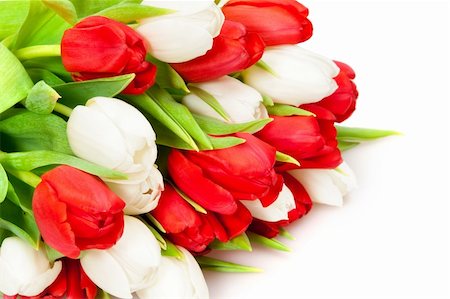 simsearch:400-04340566,k - beautiful bouquet of  tulips on white Stockbilder - Microstock & Abonnement, Bildnummer: 400-04293069