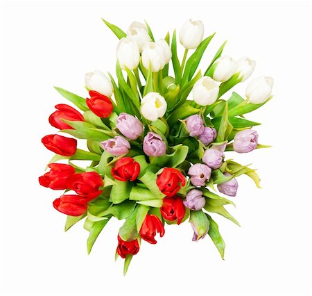 simsearch:400-04340566,k - Bouquet von schönen Tulpen auf weiß Stockbilder - Microstock & Abonnement, Bildnummer: 400-04293063