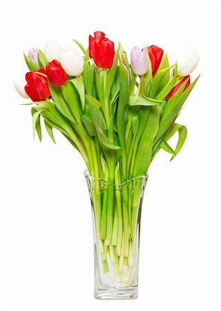 simsearch:400-05104344,k - beautiful bouquet of tulips in vase Foto de stock - Super Valor sin royalties y Suscripción, Código: 400-04293071