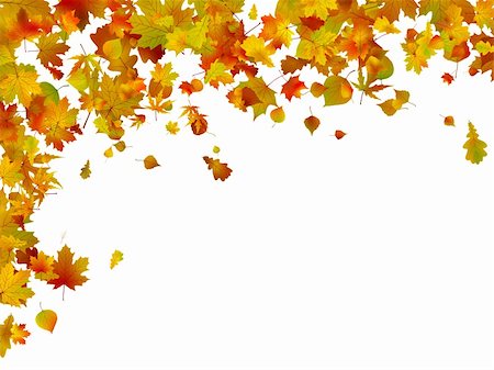 Background of autumn leaves. EPS 8 vector file included Stock Photo - Budget Royalty-Free & Subscription, Code: 400-04293752