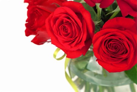 simsearch:400-05104344,k - bouquet of red roses isolated on white background Foto de stock - Super Valor sin royalties y Suscripción, Código: 400-04304045