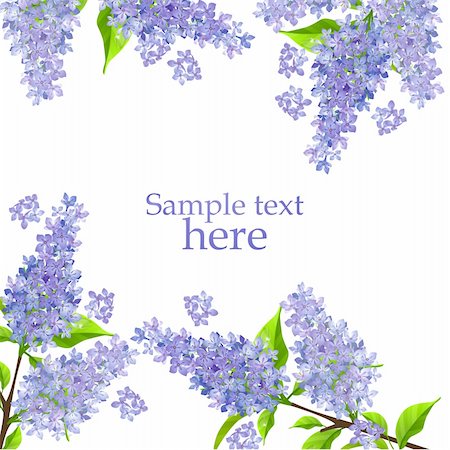 Beautiful background with blossoming branch of lilac Stock Photo - Budget Royalty-Free & Subscription, Code: 400-04304782