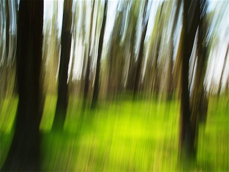 fotopen (artist) - Spring blur forest. Fresh green with dark lines of trees. Foto de stock - Super Valor sin royalties y Suscripción, Código: 400-04304985