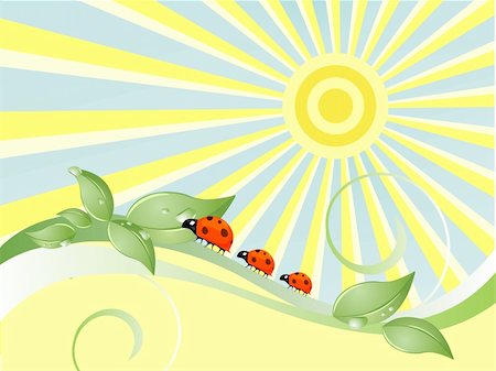 vector eps 10 illustration of lady beetles on floral elements and leaves Stock Photo - Budget Royalty-Free & Subscription, Code: 400-04305613