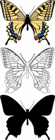 Illustration butterfly in vector. Stock Photo - Budget Royalty-Free & Subscription, Code: 400-04305649