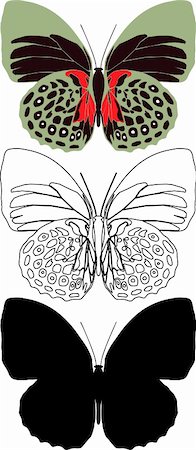 Illustration butterfly in vector. Stock Photo - Budget Royalty-Free & Subscription, Code: 400-04306169