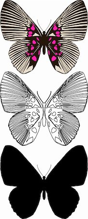Illustration butterfly in vector. Stock Photo - Budget Royalty-Free & Subscription, Code: 400-04306175