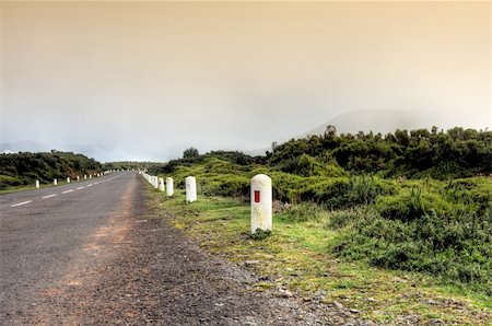Road in Plateau of Parque natural de Madeira, Madeira island,  Portugal Stock Photo - Budget Royalty-Free & Subscription, Code: 400-04306186