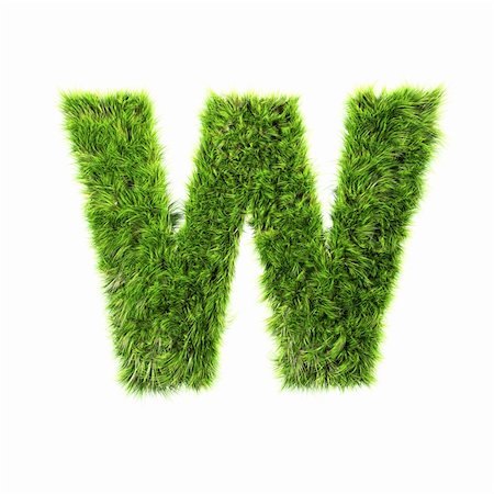 3d grass letter isolated on white background - W Stock Photo - Budget Royalty-Free & Subscription, Code: 400-04306502