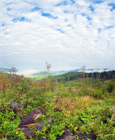 simsearch:400-04306537,k - September Carpathian mountain hill and cloudy morning view behind. Stock Photo - Budget Royalty-Free & Subscription, Code: 400-04306538