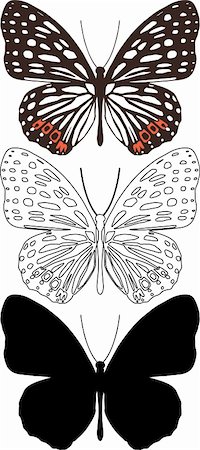 Illustration butterfly in vector. Stock Photo - Budget Royalty-Free & Subscription, Code: 400-04306781
