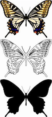 Illustration butterfly in vector. Stock Photo - Budget Royalty-Free & Subscription, Code: 400-04307338