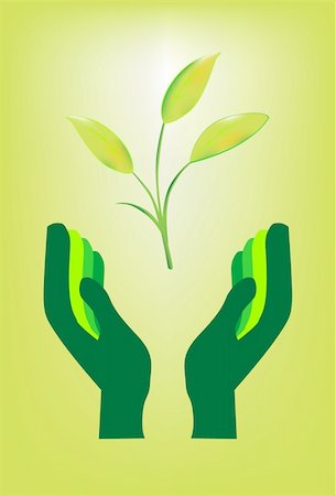 recycling fashion - hands holding a green plant Stock Photo - Budget Royalty-Free & Subscription, Code: 400-04307689