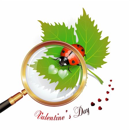 simsearch:400-07265035,k - Valentine's day, illustration with hearts and ladybug on leaf seen by a magnifying glass Stock Photo - Budget Royalty-Free & Subscription, Code: 400-04307943