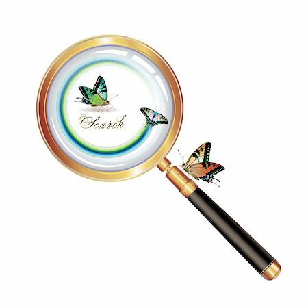 simsearch:400-08374698,k - Magnifying glass and butterfly isolated on white background Stock Photo - Budget Royalty-Free & Subscription, Code: 400-04307965