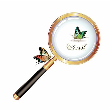simsearch:400-08374698,k - Magnifying glass and butterfly isolated on white background Stock Photo - Budget Royalty-Free & Subscription, Code: 400-04307966