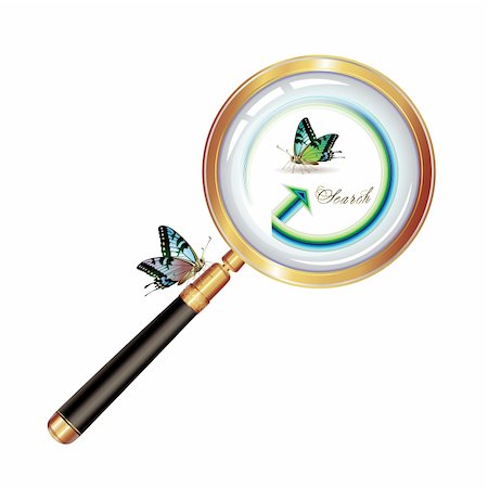 simsearch:400-04996978,k - Magnifying glass and butterfly isolated on white background Photographie de stock - Aubaine LD & Abonnement, Code: 400-04307967