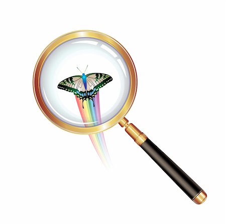simsearch:400-04996978,k - Magnifying glass and butterfly isolated on white background Photographie de stock - Aubaine LD & Abonnement, Code: 400-04307961