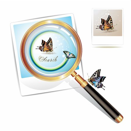 simsearch:400-04996978,k - Magnifying glass over a photo with butterfly isolated on white background Photographie de stock - Aubaine LD & Abonnement, Code: 400-04308210
