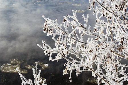 simsearch:400-05306863,k - Winter frosted tree branches over misty river Fotografie stock - Microstock e Abbonamento, Codice: 400-04308247