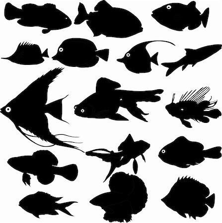 freshwater fish vector - fish silhouettes vector Stock Photo - Budget Royalty-Free & Subscription, Code: 400-04308403