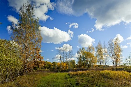 Panoramic landscape of sunny autumn field with forest river Stock Photo - Budget Royalty-Free & Subscription, Code: 400-04308612