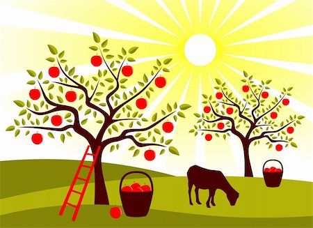 fruit tree silhouette - vector grazing goat in apple tree orchard, Adobe Illustrator 8 format Stock Photo - Budget Royalty-Free & Subscription, Code: 400-04308803