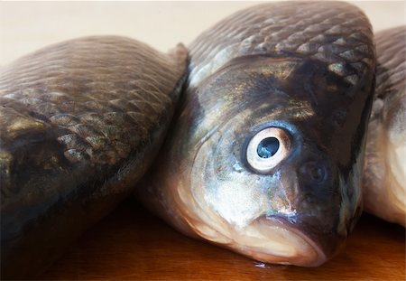 Fresh just caught live river fish. Crucian. Fotografie stock - Microstock e Abbonamento, Codice: 400-04309750