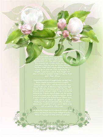 simsearch:400-04406888,k - Classic stylish festive background with apple tree flower. Photographie de stock - Aubaine LD & Abonnement, Code: 400-04309823