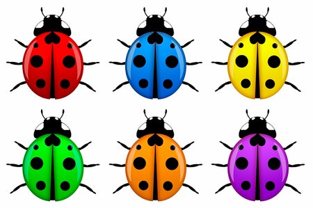 Ladybugs in Different Colors Isolated on White Background Illustration Stock Photo - Budget Royalty-Free & Subscription, Code: 400-04300068