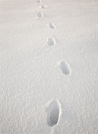 Set of footsteps disappearing into the distance in deep sidelit snow Foto de stock - Royalty-Free Super Valor e Assinatura, Número: 400-04300374