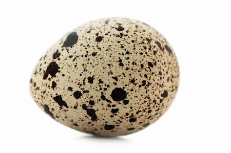 rebhuhn - One quail egg isolated on white Photographie de stock - Aubaine LD & Abonnement, Code: 400-04300418