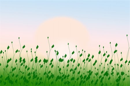 ruslan5838 (artist) - Illustration of green grass and blue sky Stock Photo - Budget Royalty-Free & Subscription, Code: 400-04301187