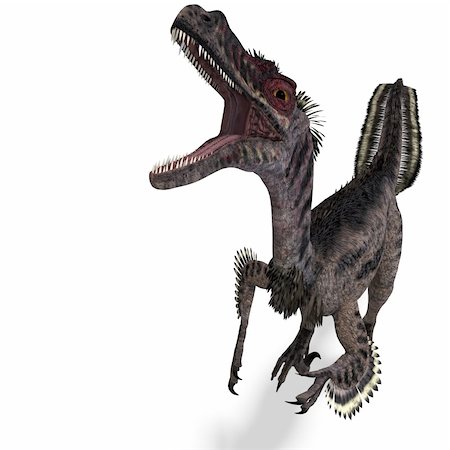 Dinosaur Velociraptor. 3D rendering with clipping path and shadow over white Stock Photo - Budget Royalty-Free & Subscription, Code: 400-04301666