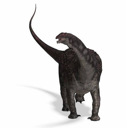 simsearch:400-04818670,k - Dinosaur Diamantinasaurus. 3D rendering with clipping path and shadow over white Foto de stock - Royalty-Free Super Valor e Assinatura, Número: 400-04301667