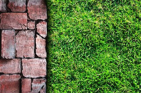 stone walls in meadows - Old stone pavement and green grass field Stock Photo - Budget Royalty-Free & Subscription, Code: 400-04302382