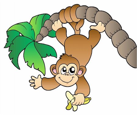 simsearch:400-04281174,k - Monkey hanging on palm tree - vector illustration. Foto de stock - Super Valor sin royalties y Suscripción, Código: 400-04302426