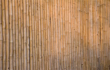 Bamboo wall of the house Stock Photo - Budget Royalty-Free & Subscription, Code: 400-04302562