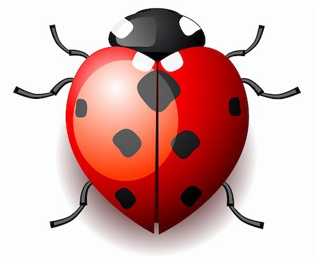 robisklp (artist) - Heart shaped ladybird, vector illustration Fotografie stock - Microstock e Abbonamento, Codice: 400-04303055