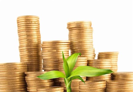 simsearch:400-07574972,k - Coins and green plant isolated on white Stock Photo - Budget Royalty-Free & Subscription, Code: 400-04303193