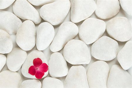 red petals on white pebble background, relaxation and meditation concept Stock Photo - Budget Royalty-Free & Subscription, Code: 400-04303771
