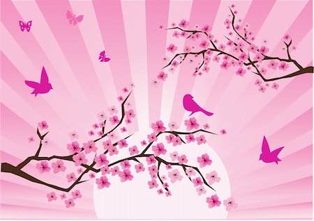 vector illustration of a cherry blossom with birds and sunrise Foto de stock - Super Valor sin royalties y Suscripción, Código: 400-04314143