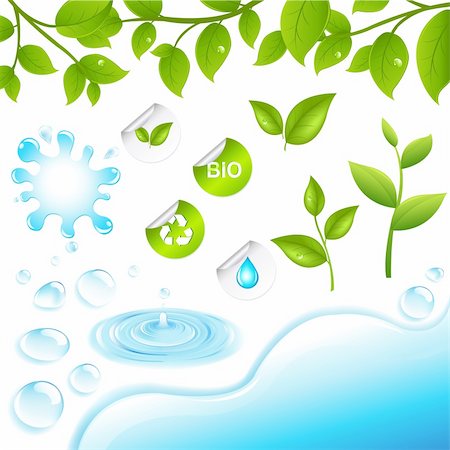 Collection Of Green Branches And Water Elements, Isolated On White Background, Vector Illustration Stock Photo - Budget Royalty-Free & Subscription, Code: 400-04314281