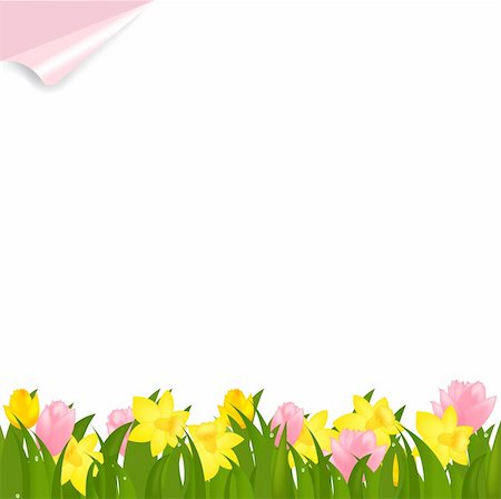 simsearch:400-05333490,k - Border From Narcissuses And Yellow Tulips, Isolated On White Background, Vector Illustration Photographie de stock - Aubaine LD & Abonnement, Code: 400-04314381