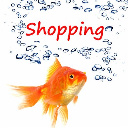 shopping mall advertising - shopping or shop concept with word and goldfish Stock Photo - Budget Royalty-Free & Subscription, Code: 400-04314613