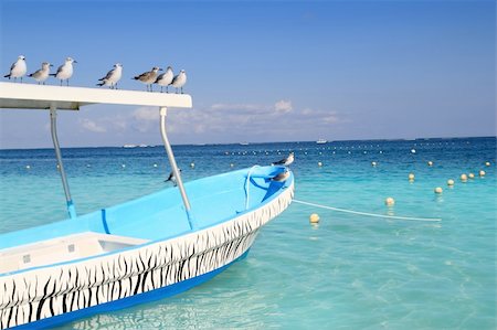 blue boat seagulls Caribbean in  turquoise sea Stock Photo - Budget Royalty-Free & Subscription, Code: 400-04315009
