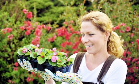 simsearch:400-04439731,k - Woman with container-grown plants Photographie de stock - Aubaine LD & Abonnement, Code: 400-04315594