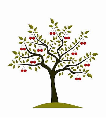 fruit tree silhouette - vector abstract cherry tree on white background, Adobe Illustrator 8 format Stock Photo - Budget Royalty-Free & Subscription, Code: 400-04316028